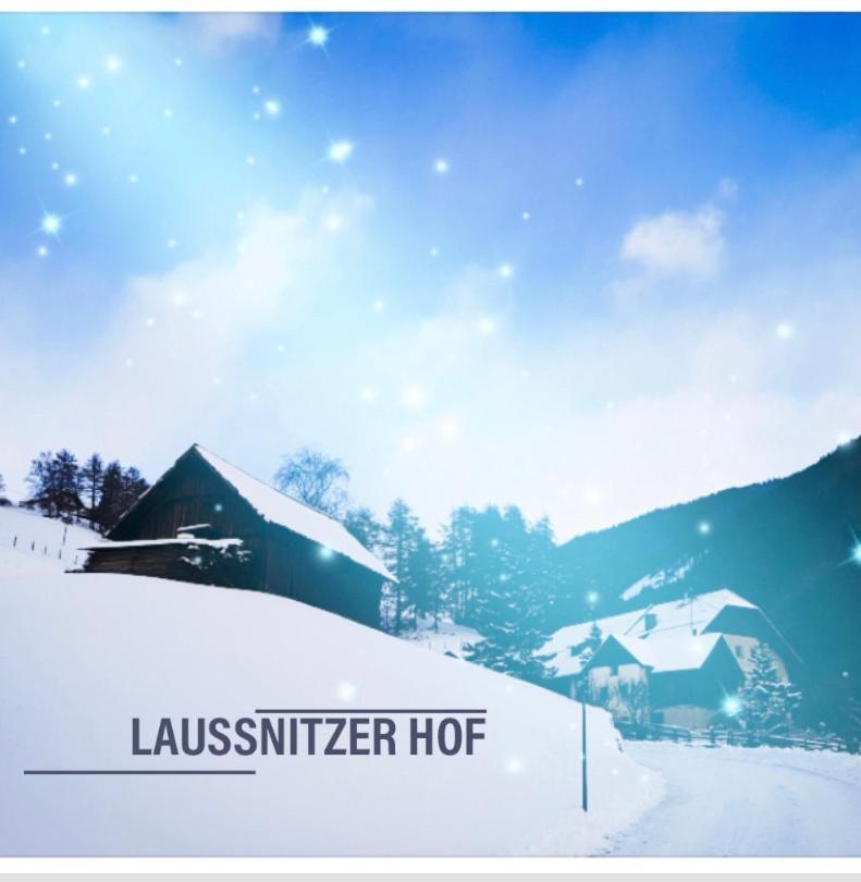 Ferienwohnung Biohof Laussnitzer In Rennweg Реннвег-ам-Качберг Экстерьер фото