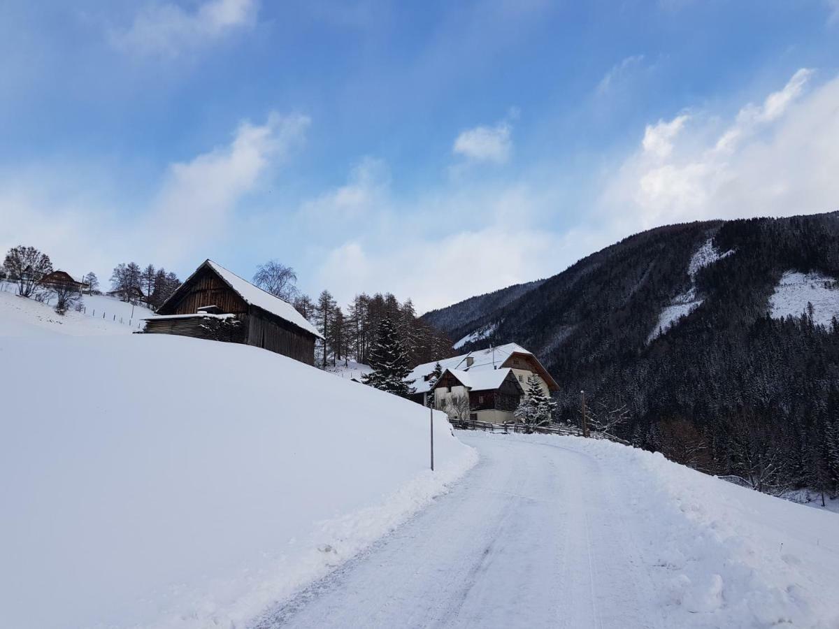 Ferienwohnung Biohof Laussnitzer In Rennweg Реннвег-ам-Качберг Экстерьер фото